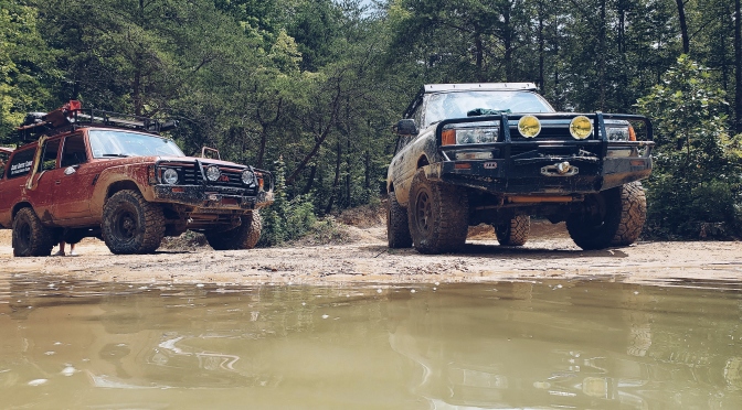 Gettin’ Bogged in Pickett State park [Tennessee]